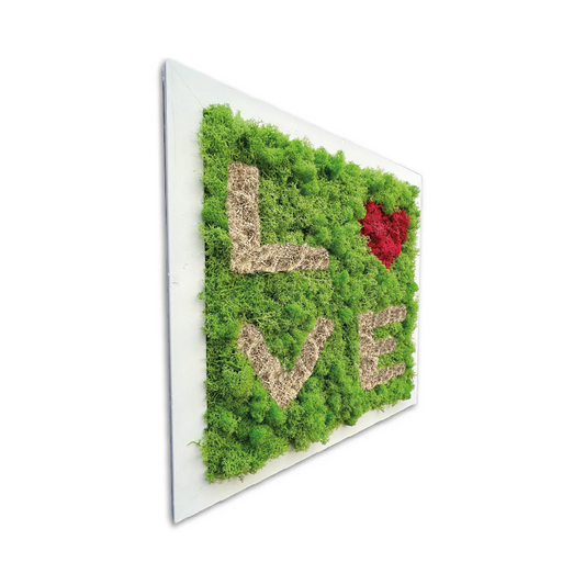 L’ammore nun appassisce - Fatto di Muschio o' ver - Mamma' Art