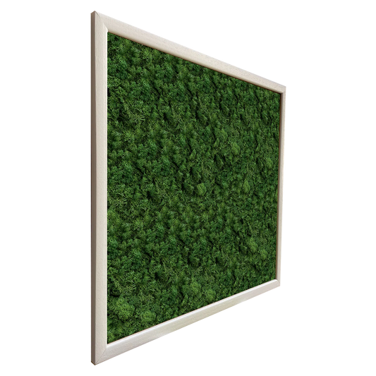 Sta parete s’è fatta ‘na passeggiata ‘int’o bosco - Fatto di Muschio o' ver - Mamma' Art