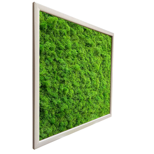 ‘Nu prato ‘ncopp’ ‘o muro - Fatto di Muschio o' ver - Mamma' Art