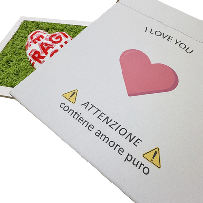 FRAGILE, MA NUN M SPEZZ' – Quadro con Cuore e Muschio Naturale - Mamma' Art