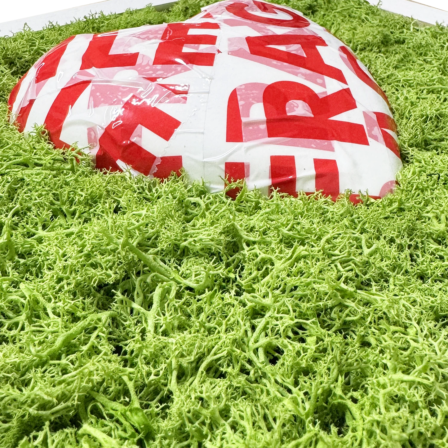 FRAGILE, MA NUN M SPEZZ' – Quadro con Cuore e Muschio Naturale - Mamma' Art