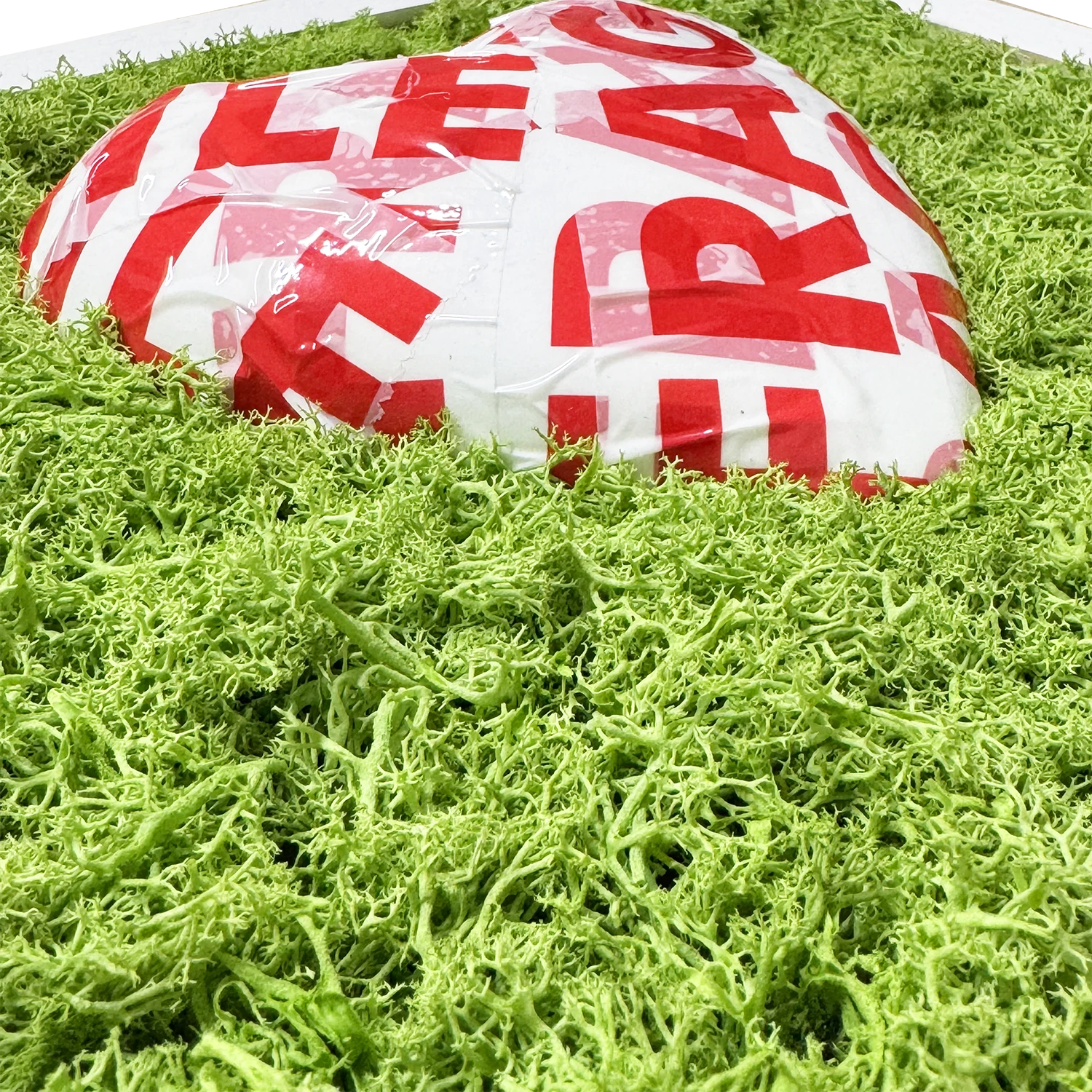 FRAGILE, MA NUN M SPEZZ' – Quadro con Cuore e Muschio Naturale - Mamma' Art