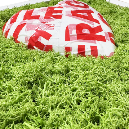 FRAGILE, MA NUN M SPEZZ' – Quadro con Cuore e Muschio Naturale - Mamma' Art